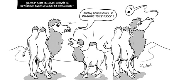 Festival du film d'aventure de La Rochelle - ''Des larmes et du sable'' (Dessin en live)